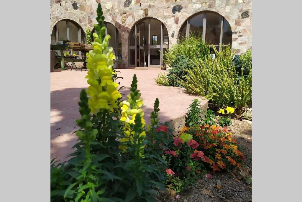 Eilat Stone - Patio אבן אילת - פטיו Apartment Ngoại thất bức ảnh