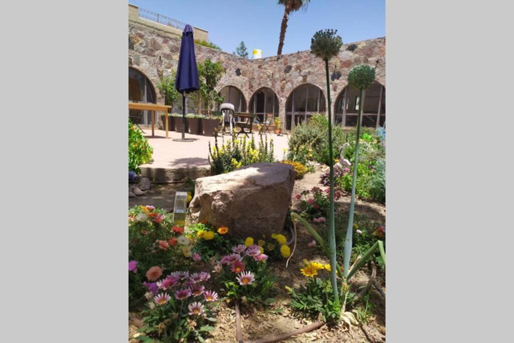 Eilat Stone - Patio אבן אילת - פטיו Apartment Ngoại thất bức ảnh