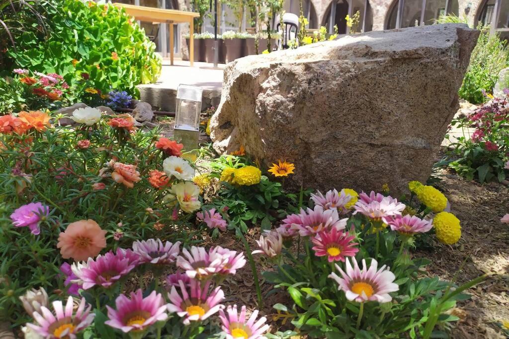 Eilat Stone - Patio אבן אילת - פטיו Apartment Ngoại thất bức ảnh